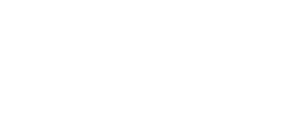 Brunken Consulting
