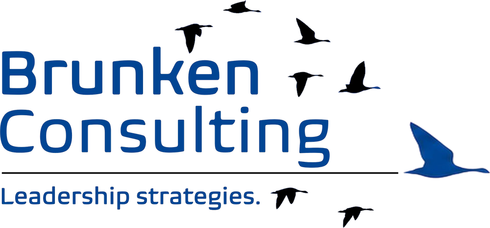 Brunken Consulting – Leadership strategies.